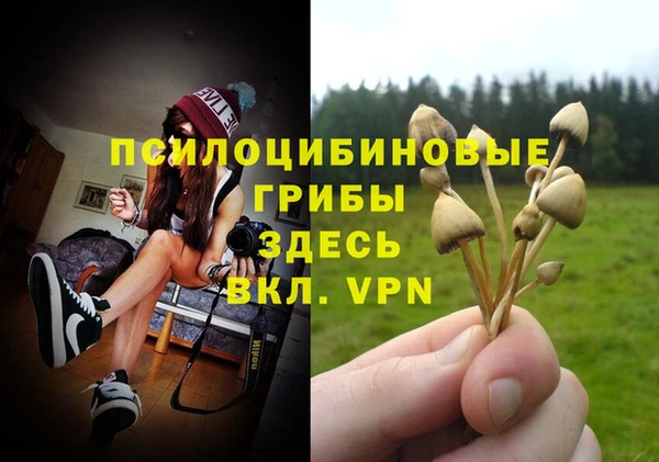 эйфоретик Касимов