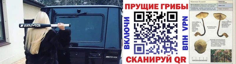 Псилоцибиновые грибы Psilocybine cubensis Купить Талдом