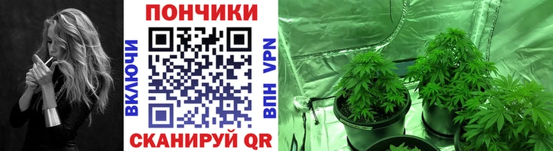 Купить закладки  Талдом  МАРИХУАНА ГИДРОПОН 